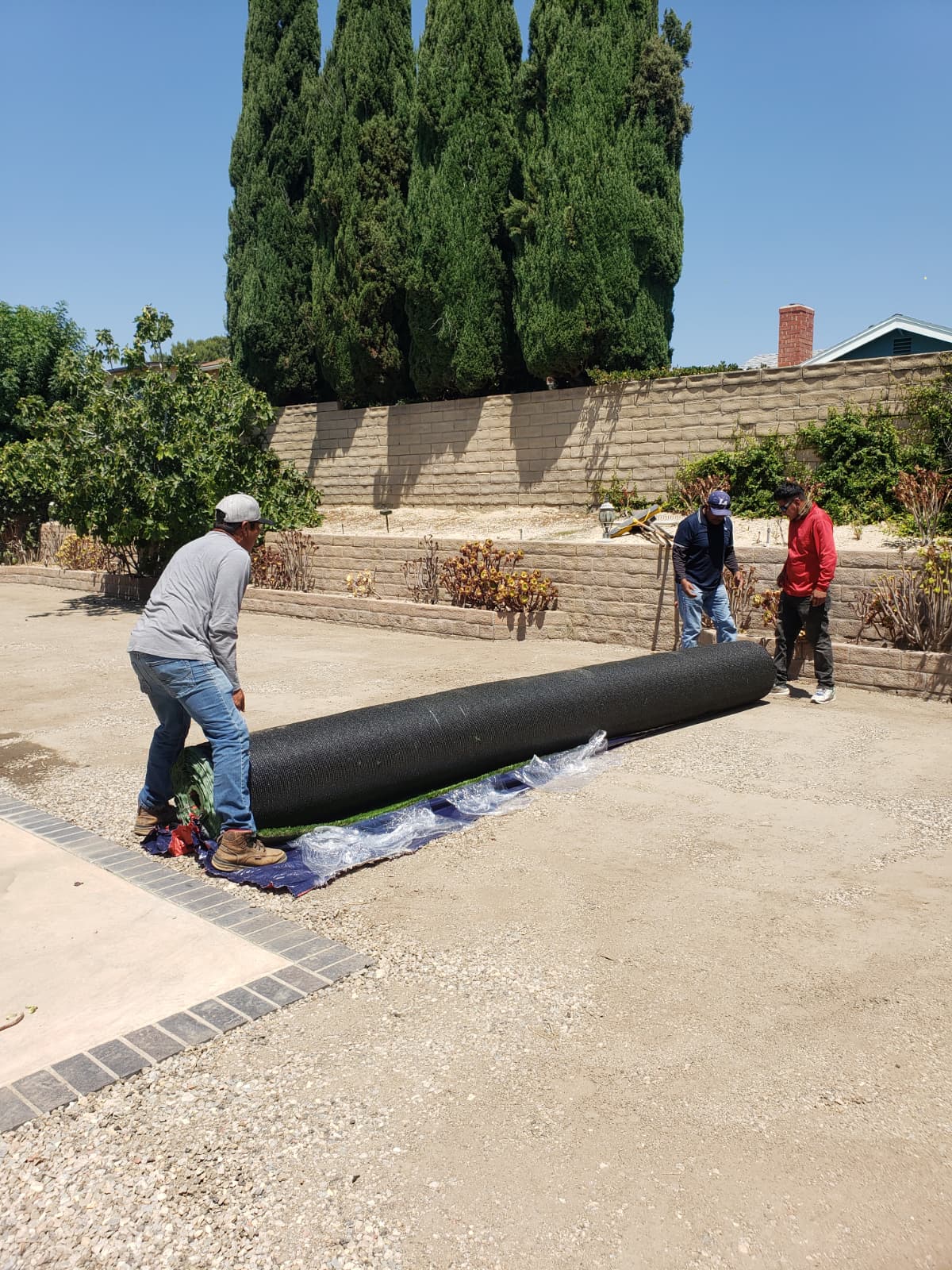 Para Artificial Grass